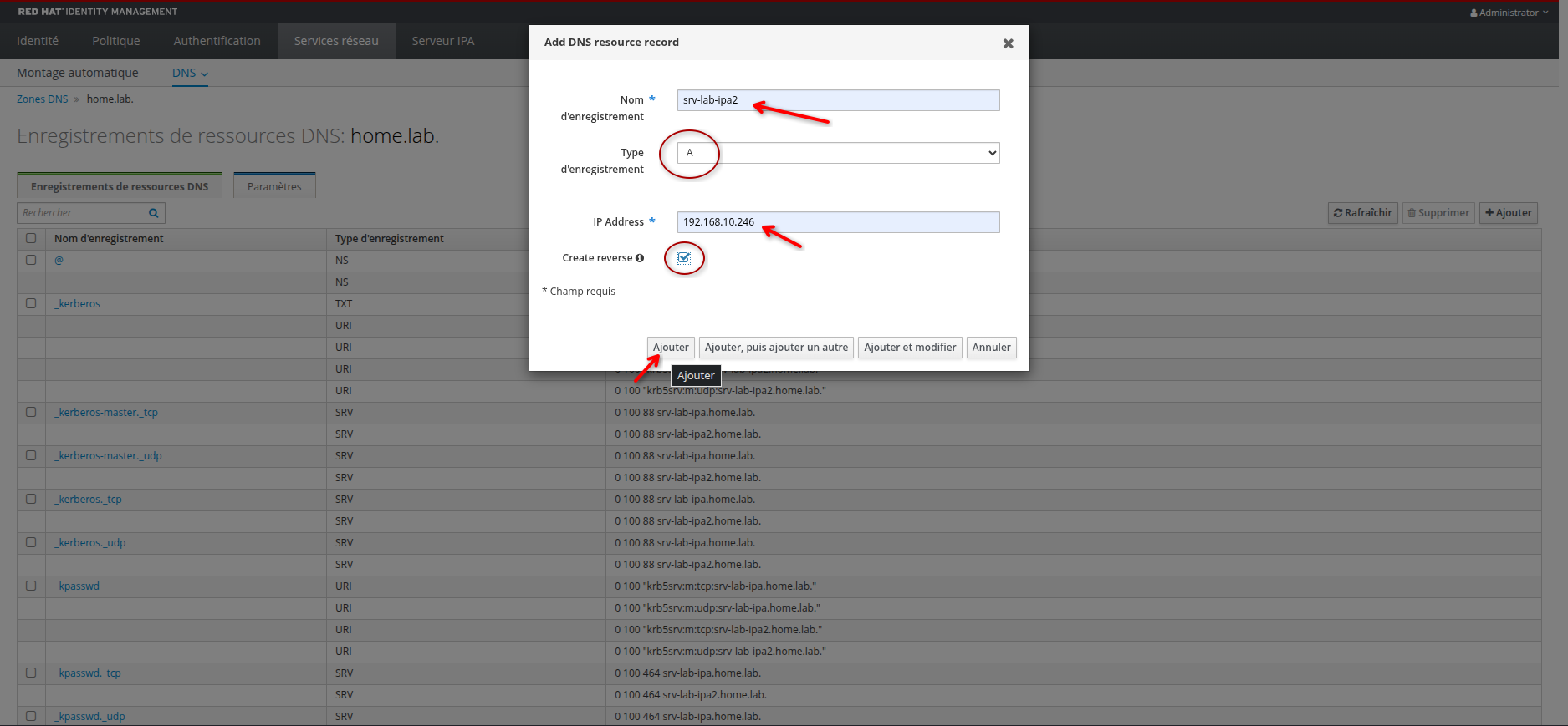 add-dns-rec-4