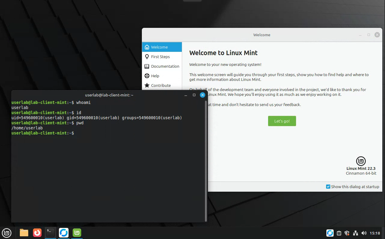 connect-client-3